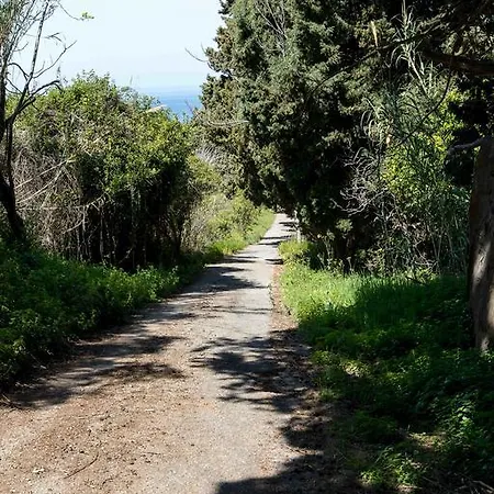 Welhome Rent * Santa Domenica (Vibo Valentia)